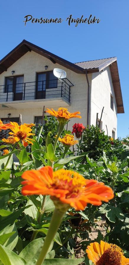 Pensiunea Agroturistică Angheliki Tulcea Exterior foto