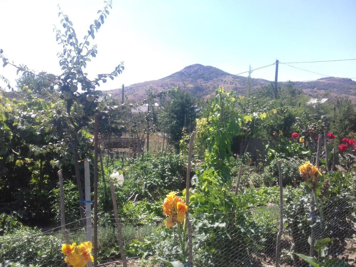 Pensiunea Agroturistică Angheliki Tulcea Exterior foto