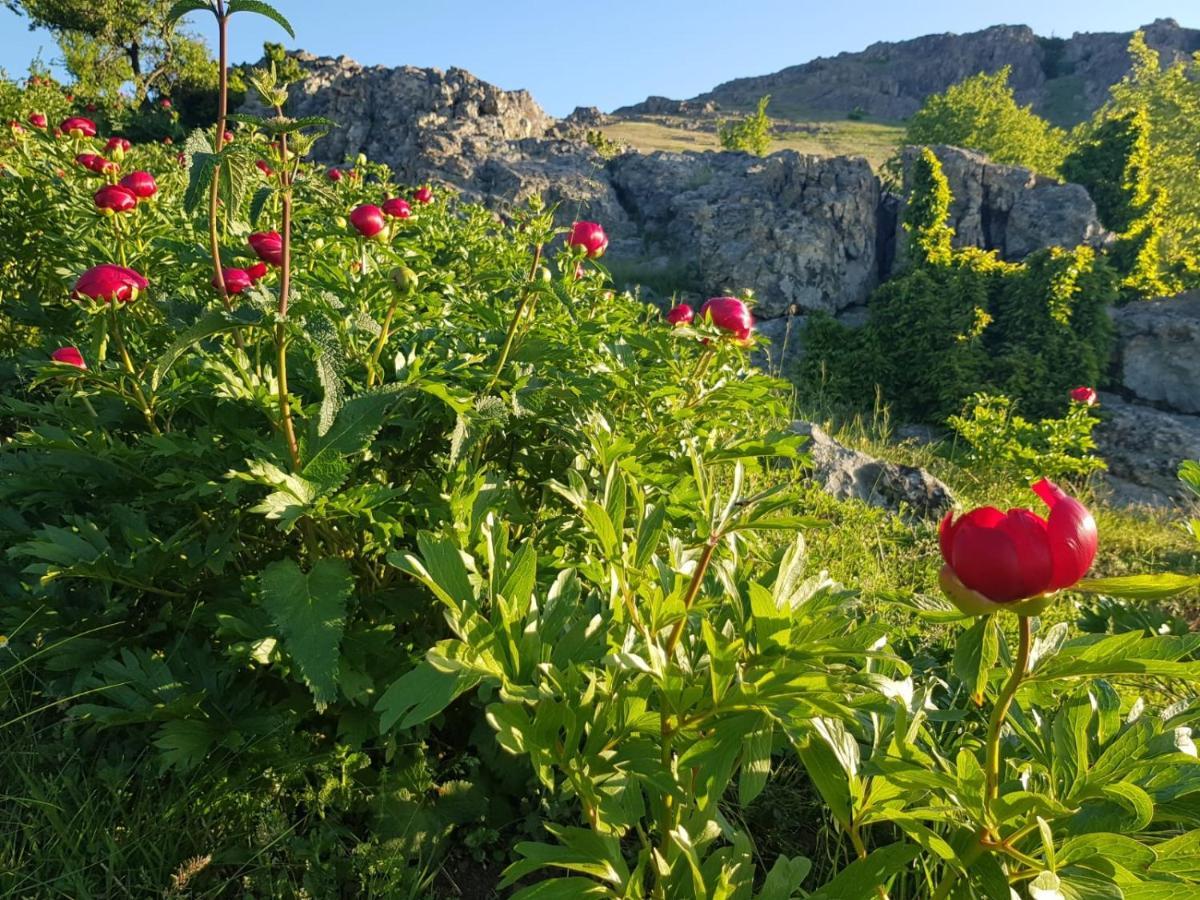 Pensiunea Agroturistică Angheliki Tulcea Exterior foto
